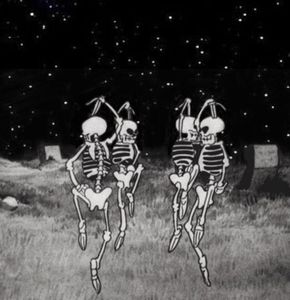 Meet your Posher, Dominique